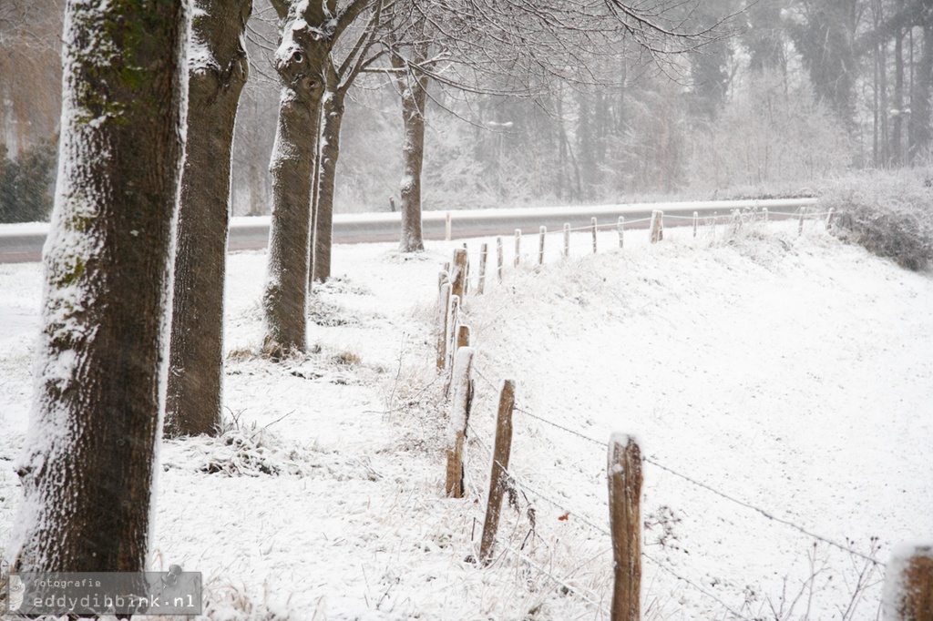 2010-12-17 Sneeuw, Deventer 017